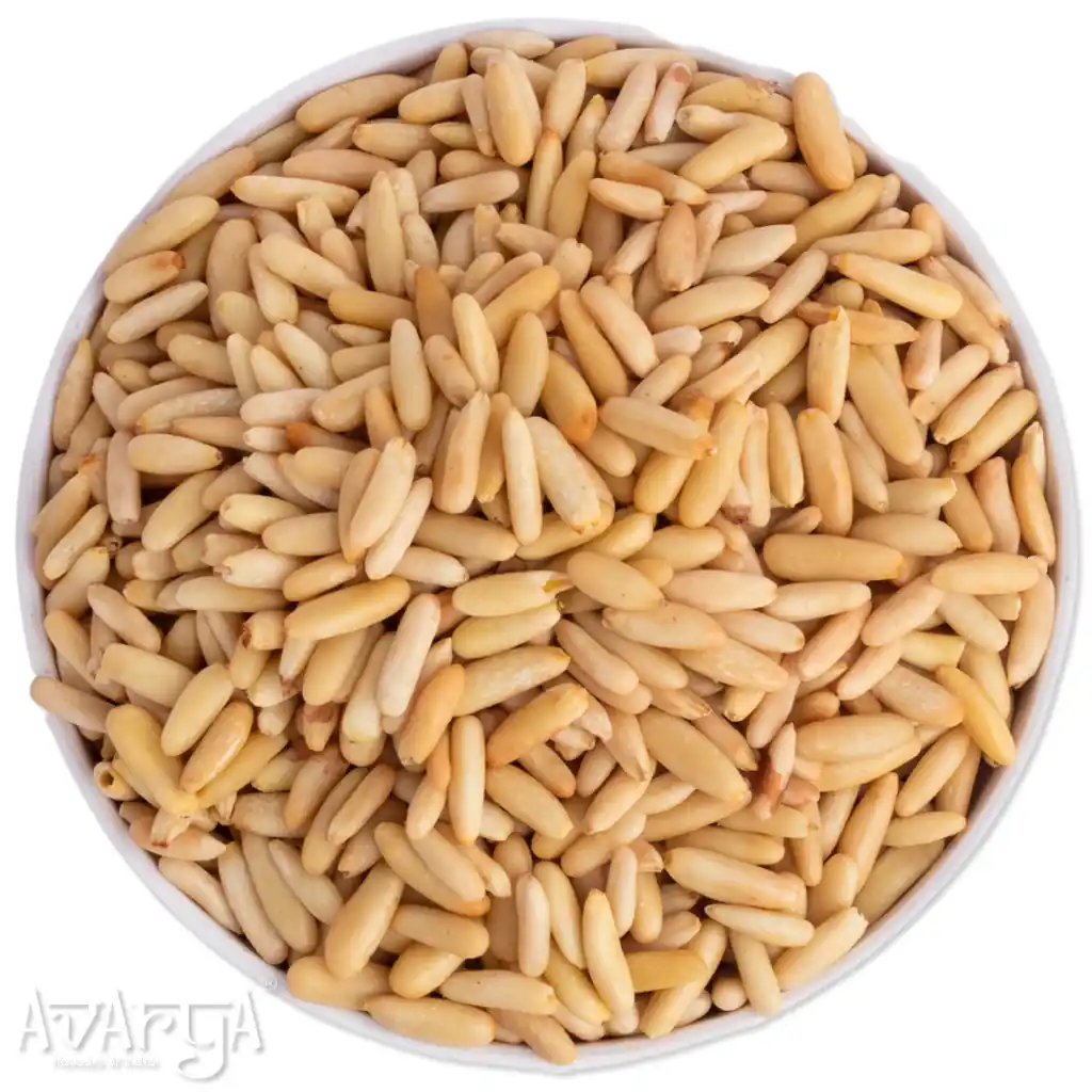 Pine Nuts - Special Chilgoza-04