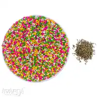 Tini Mini Variyali - Buy Best Quality Tinimini Variali Online at Best Price-02