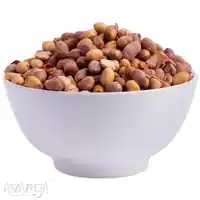 Salted Bharuch Sing With Skin - Order Good Quality Salty Gujarat Bharuch Peanut Online-02