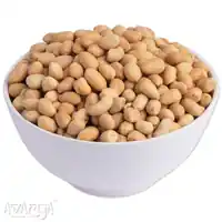 Salted Bharuch Sing Without Skin - Order Delicious Salty Bharuch Peanut at Best Price-01