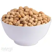 Salted Bharuch Sing Without Skin - Order Delicious Salty Bharuch Peanut at Best Price-02