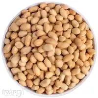 Salted Bharuch Sing Without Skin - Order Delicious Salty Bharuch Peanut at Best Price-03