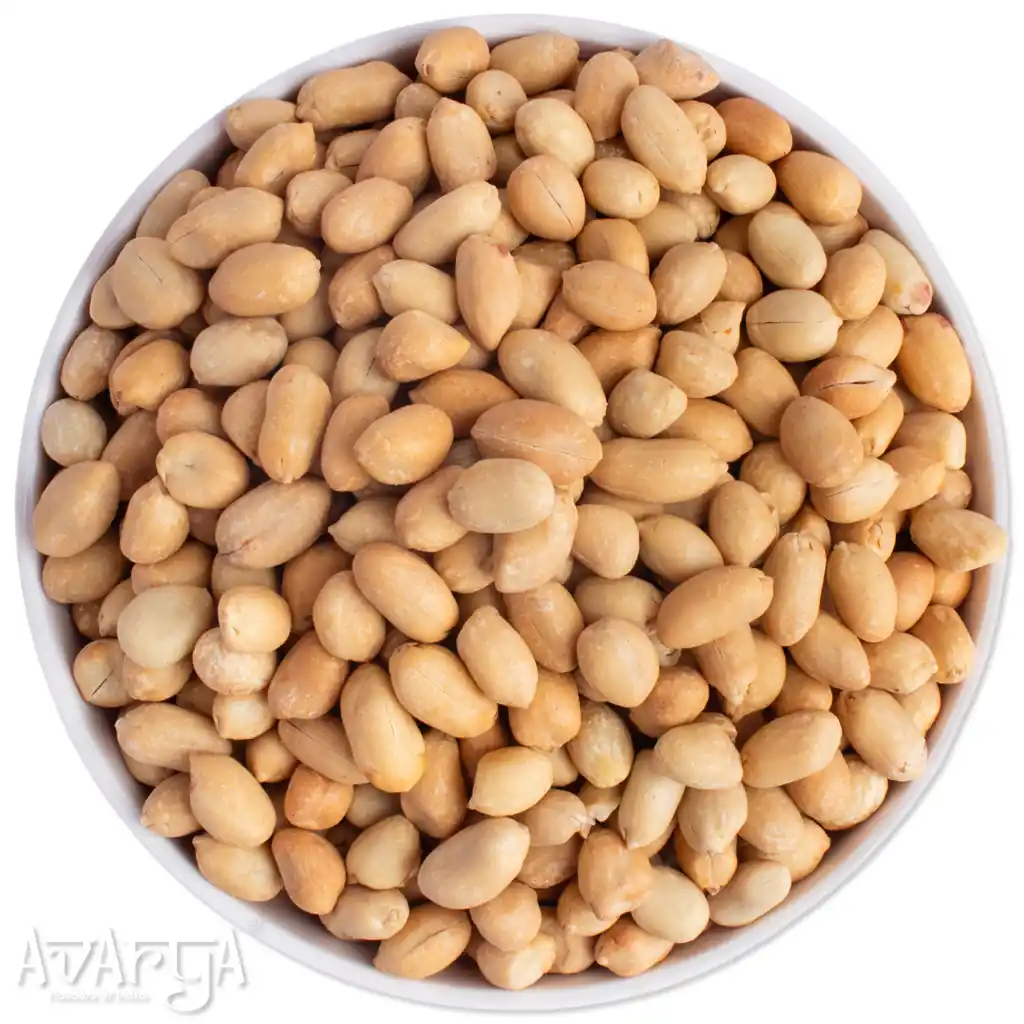 Salted Bharuch Sing Without Skin - Salty Bharuch Peanut-03