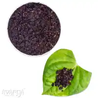 Calcutta Paan - Buy Delicious Kolkatta Pan at Best Price-03