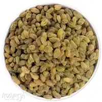 Afghan Raisins 1A - Shop for Best Afghani Kishmish at Best Price-02