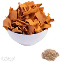 Low Cal Mexican Quinoa Chips - Buy Delicious Diet Mexican Quinnoa Chip Online at Best Price-04