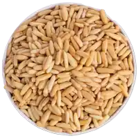 Exotic Dryfruits - Shop for Best Exclusive Dry Fruits-01