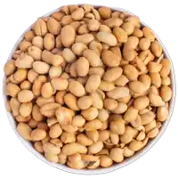 Nuts - Buy Excellent Quality Nut-01